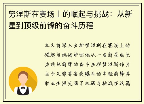 努涅斯在赛场上的崛起与挑战：从新星到顶级前锋的奋斗历程