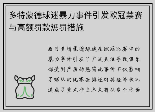 多特蒙德球迷暴力事件引发欧冠禁赛与高额罚款惩罚措施