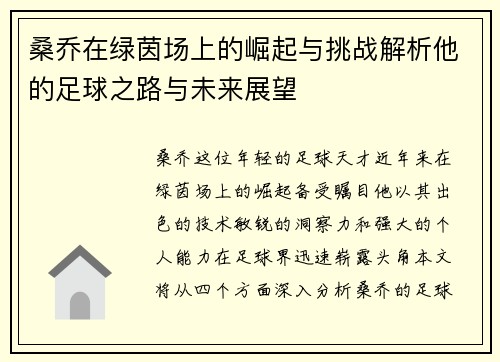 桑乔在绿茵场上的崛起与挑战解析他的足球之路与未来展望